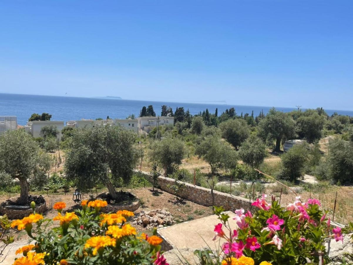 Exclusive Greccia Inn Dhermi Dhërmi Exterior foto