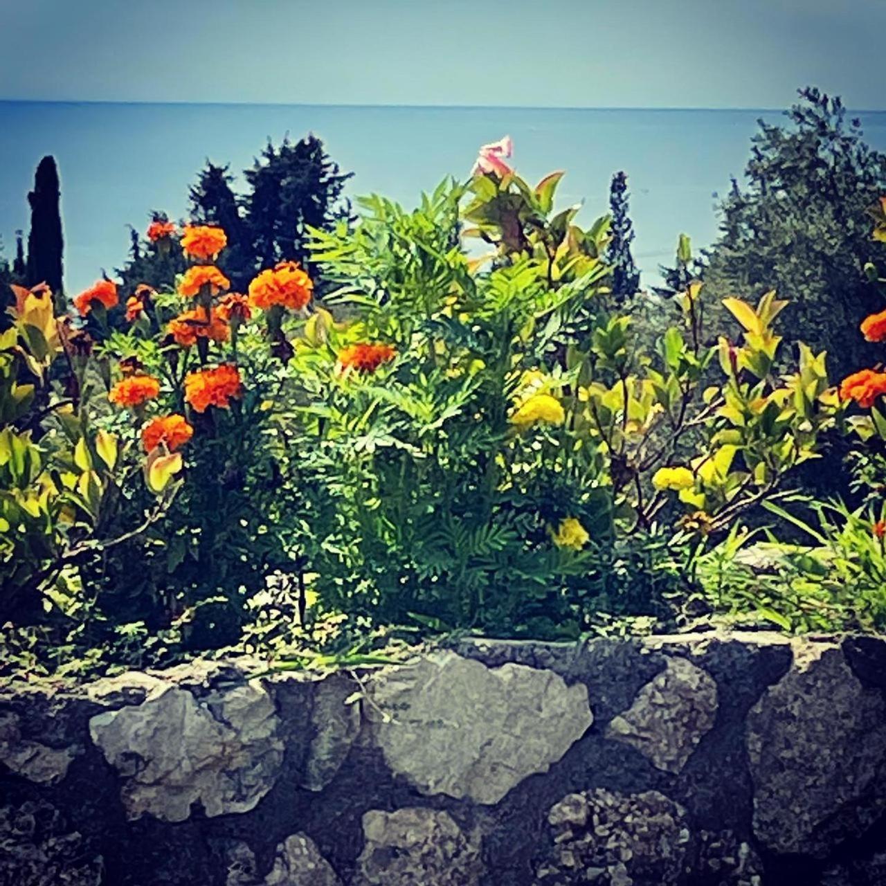 Exclusive Greccia Inn Dhermi Dhërmi Exterior foto