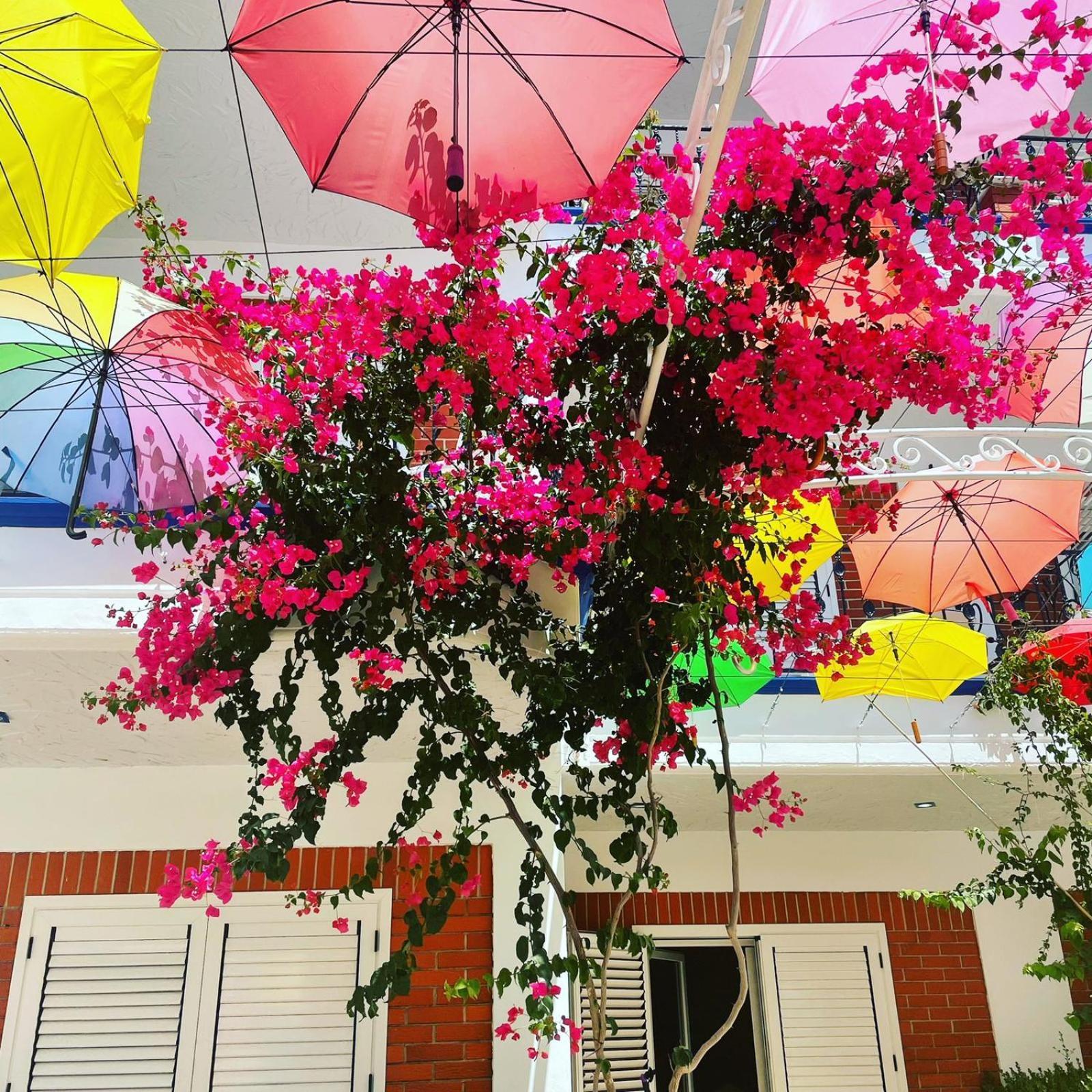 Exclusive Greccia Inn Dhermi Dhërmi Exterior foto